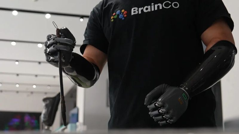 人工智能应用入门：从原理到实践**